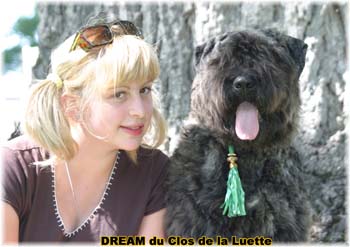 Bouvier des Flandres DREAM - Elevage du CLOS DE LA LUETTE - COPYRIGHT DEPOSE