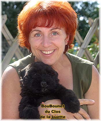 bouvier des flandres photo chiot - Elevage Clos Luette - COPYRIGHT DEPOSE