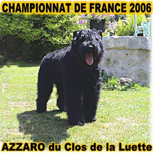 Elevage du CLOS DE LA LUETTE - COPYRIGHT DEPOSE
