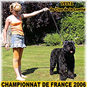 Elevage du CLOS DE LA LUETTE - COPYRIGHT DEPOSE