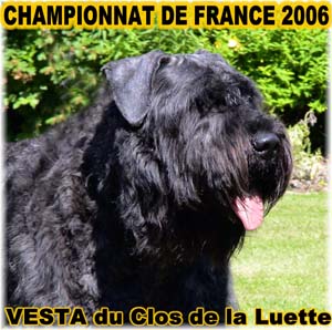 Elevage du CLOS DE LA LUETTE - COPYRIGHT DEPOSE