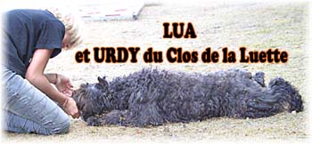 Elevage du CLOS DE LA LUETTE - COPYRIGHT DEPOSE