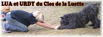 Elevage du CLOS DE LA LUETTE - COPYRIGHT DEPOSE